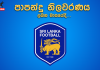පාපන්දු නිලවරණය ලබන මාසයේදී….