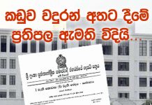 -ක්රීඩා කතු වැකිය- ”කඩුව වදුරන් අතට පත් කිරීමේ ප්රතිපල ඇමති විදියි”